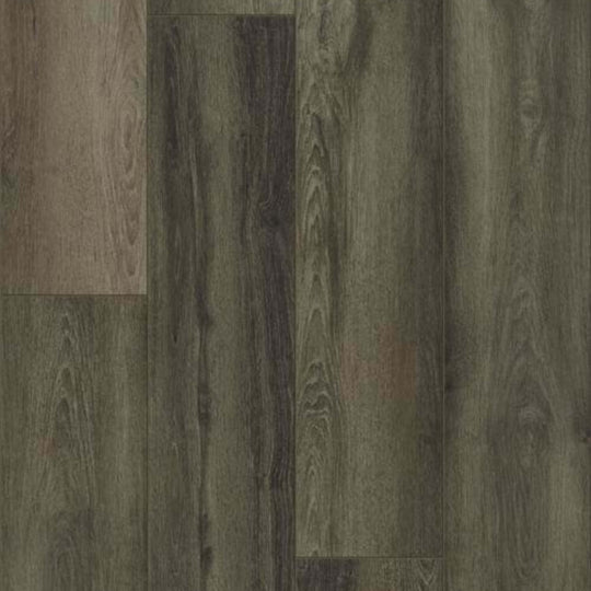 TITAN HD PLUS in Plato Oak