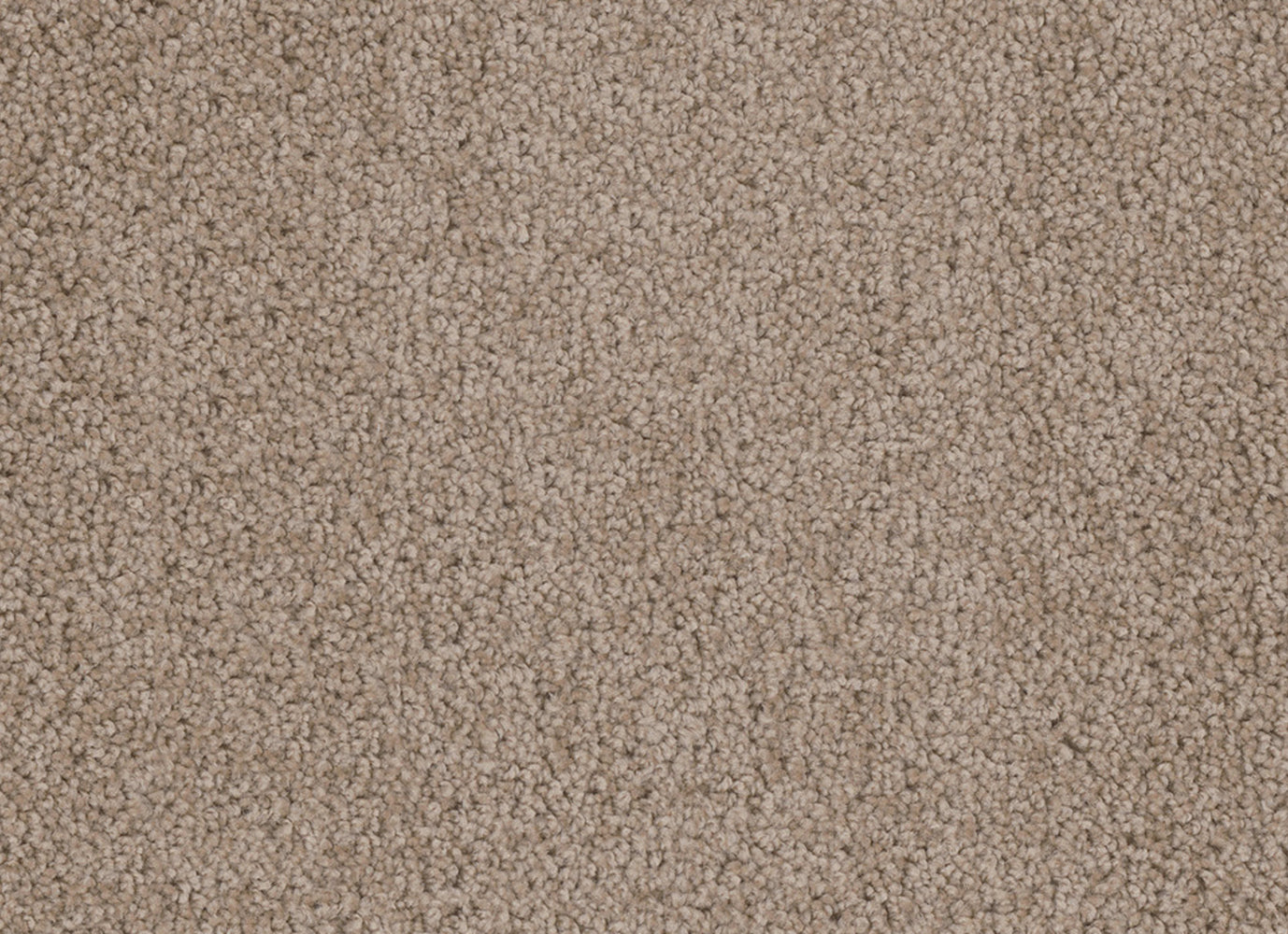 Cedar Creek in Doeskin Carpet
