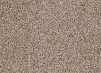 Cedar Creek in Doeskin Carpet