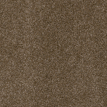 Black Walnut