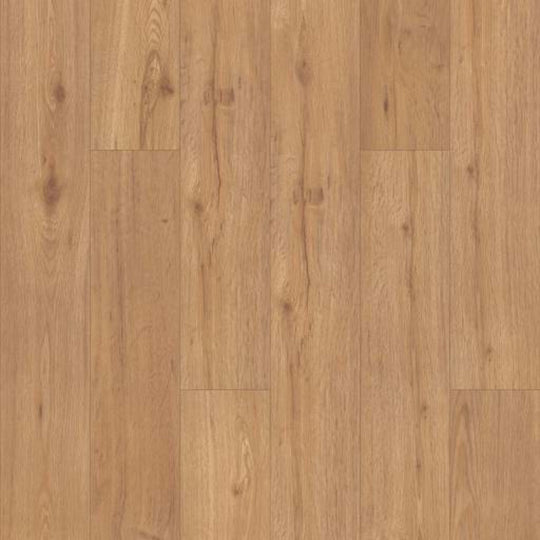 WORLD'S FAIR 6 II in San Francisco