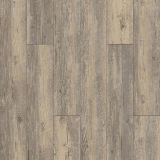 WORLD'S FAIR 6 II in Brisbane