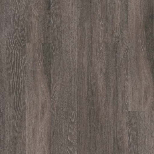 WORLD'S FAIR 6 II in Dublin