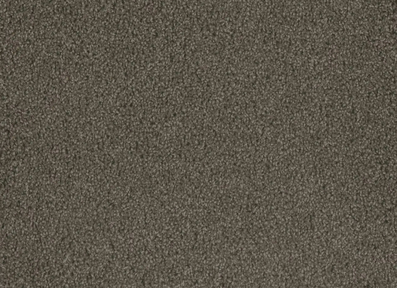 Hammond Creek II in Riverbed Carpet