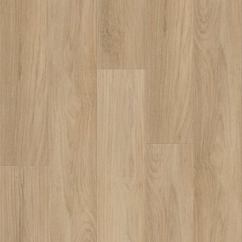 DISTINCTION PLUS in Golden Timber