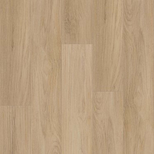 DISTINCTION PLUS in Golden Timber