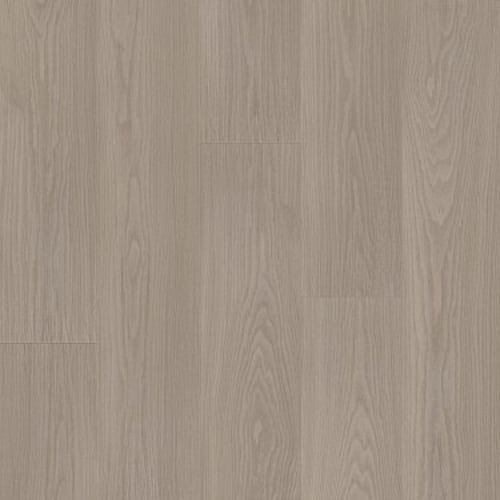 DISTINCTION PLUS in Earthy Taupe