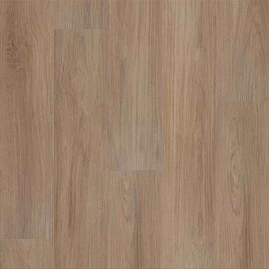 DISTINCTION PLUS in Hazelnut Brown