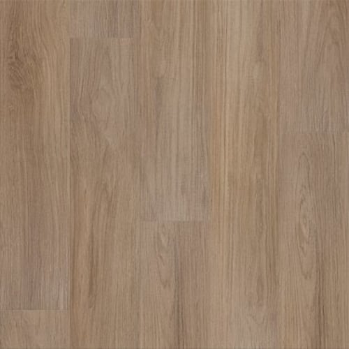 DISTINCTION PLUS in Hazelnut Brown