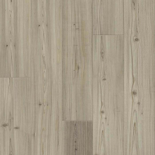 DISTINCTION PLUS in Light Pine