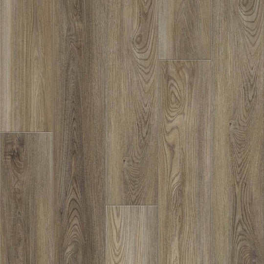 DISTINCTION PLUS in Ash Oak