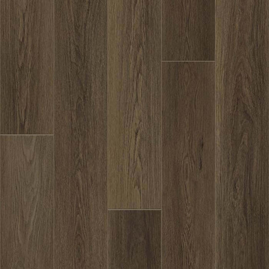 DISTINCTION PLUS in Barrel Oak