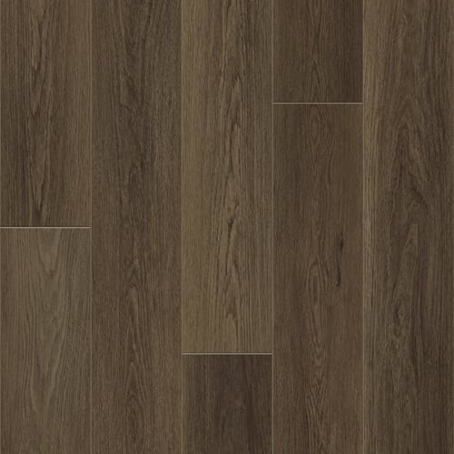 DISTINCTION PLUS in Barrel Oak