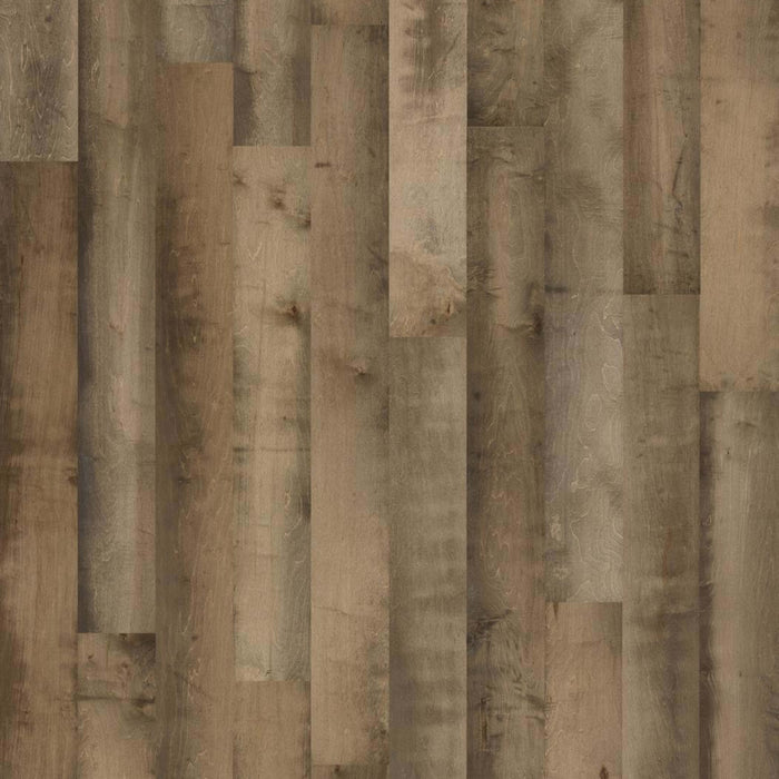 MONUMENT MAPLE in Independence Hall Hardwood