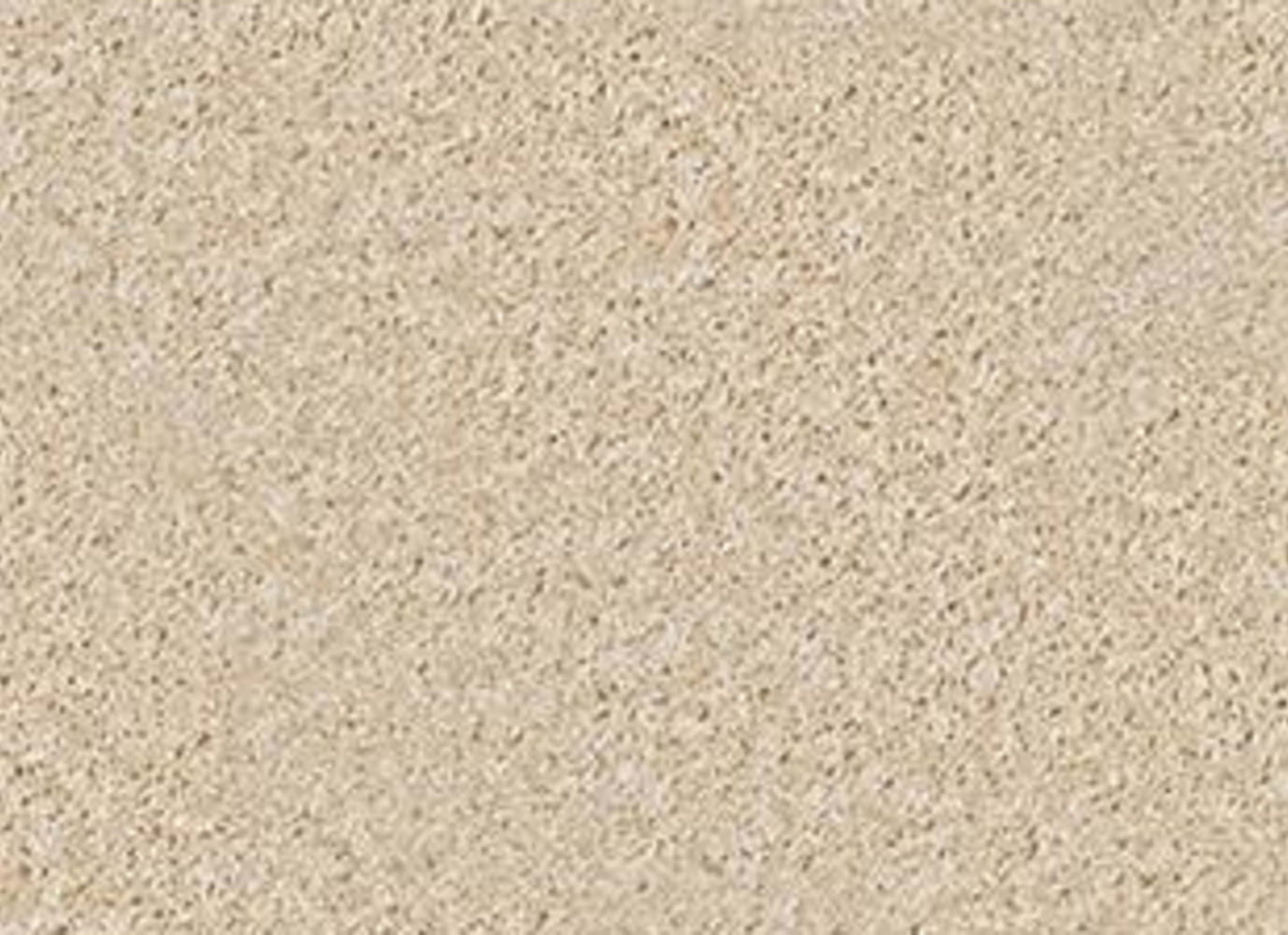 HOLLAND 12' in Rice Paper Carpet