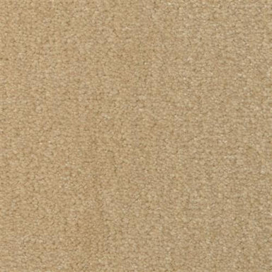 Seduction in Macadamia Carpet