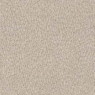 BEST BET in Cedar Carpet
