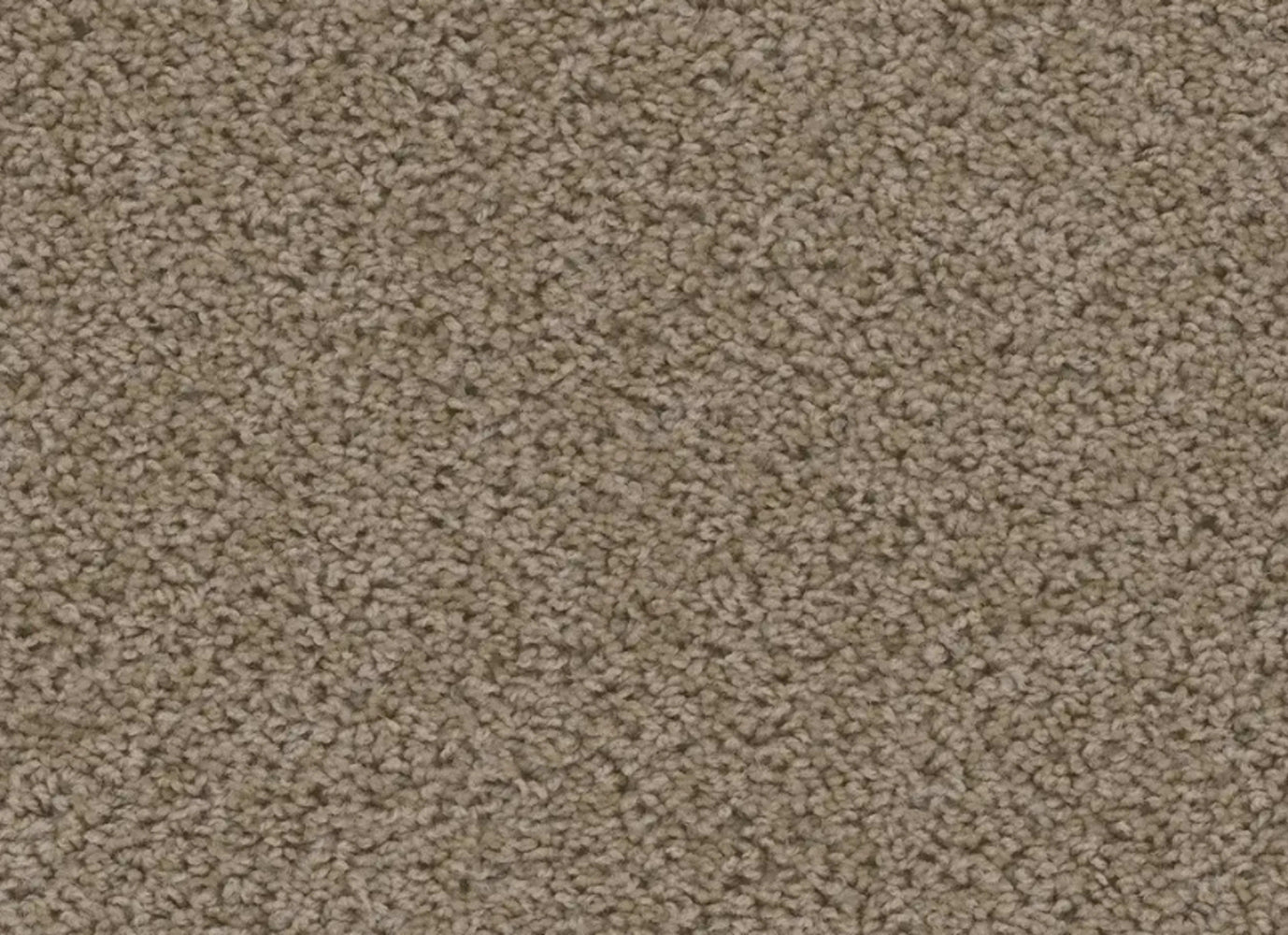Sweepstakes in Doeskin Carpet