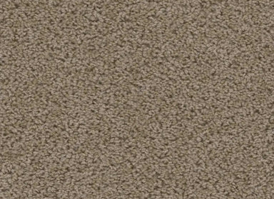 Sweepstakes in Doeskin Carpet