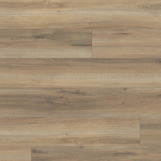 LifeProtect 12 in Echo