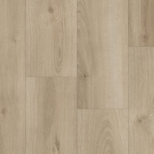 LifeProtect 12 in Fresco