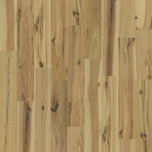 INSPIRATIONS HICKORY in Luminous