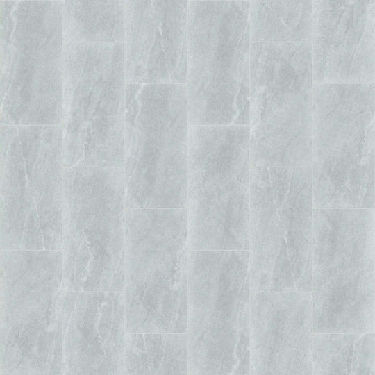 ARENA 12X24 in Silver