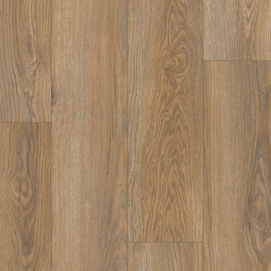 LifeProtect 12 in Forge