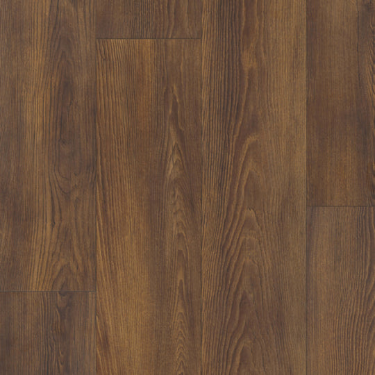 LifeProtect 12 in Veletta