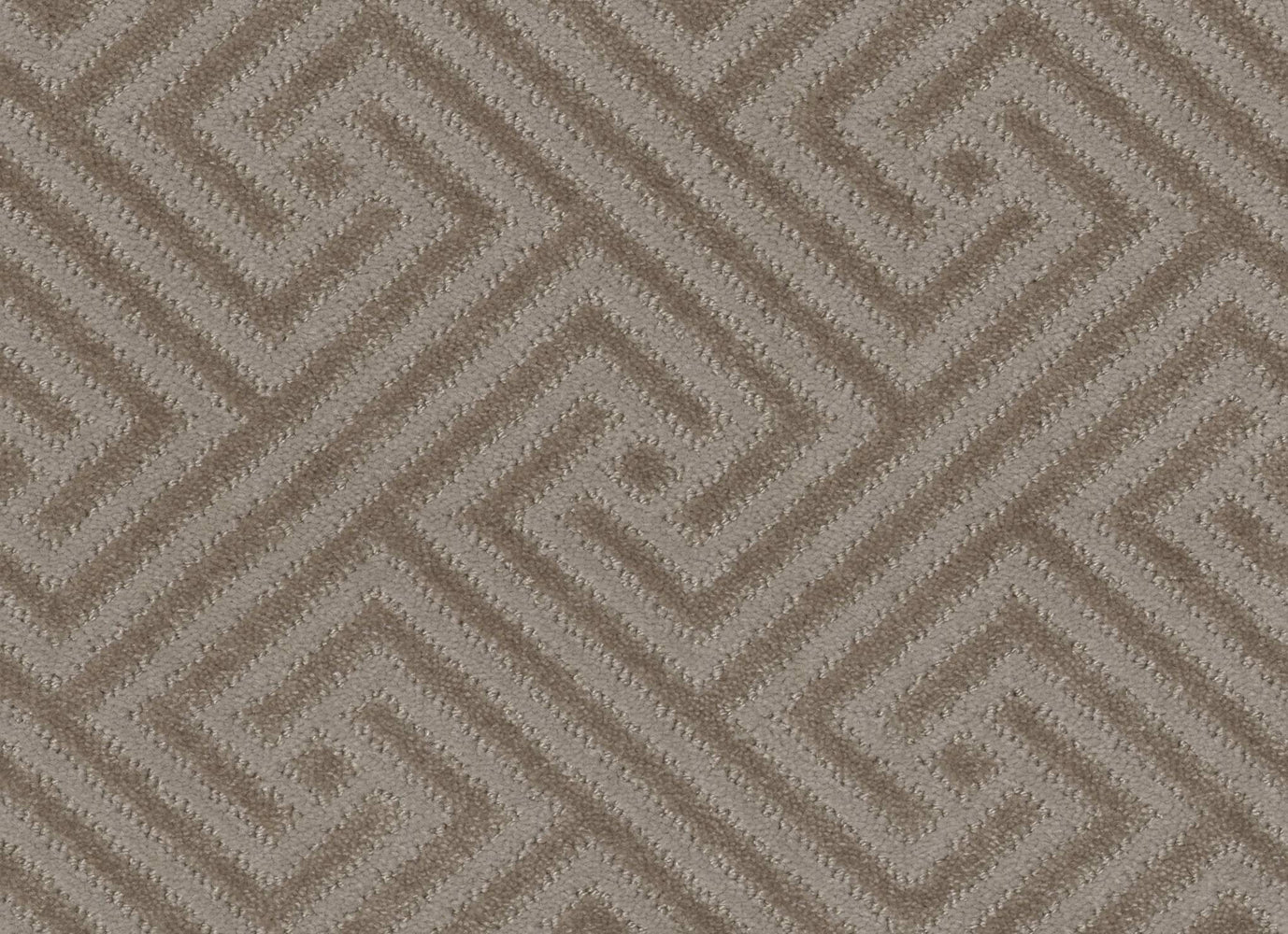 COME TOGETHER in Shady Carpet