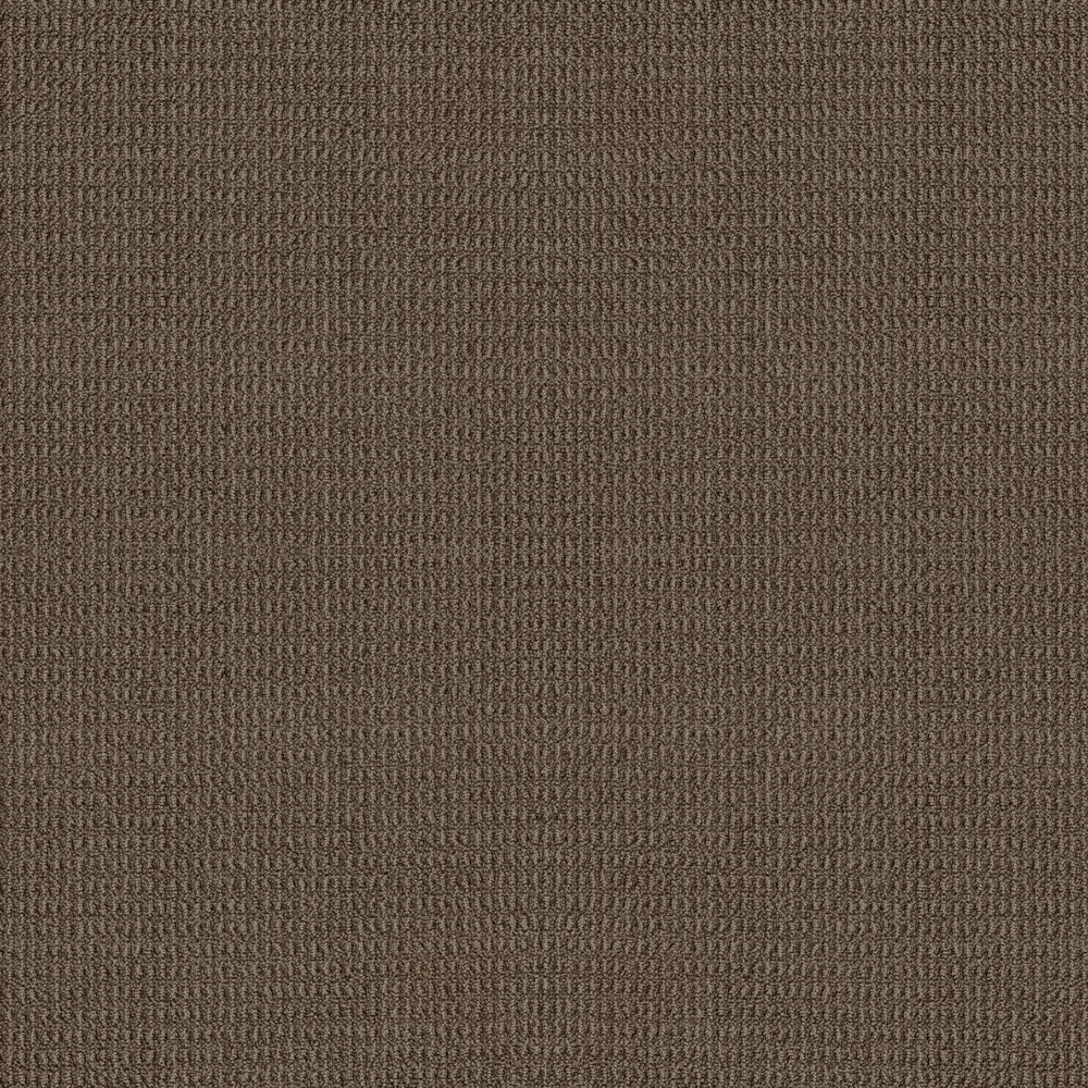 AVEMORE in Shitake Carpet