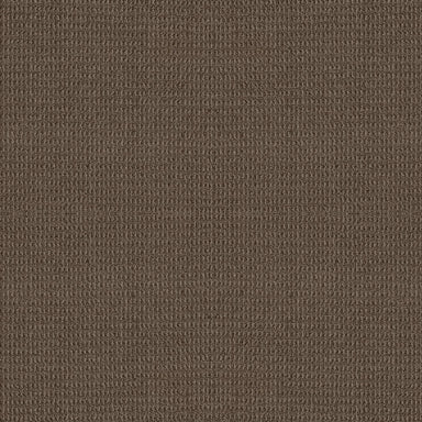 AVEMORE in Shitake Carpet