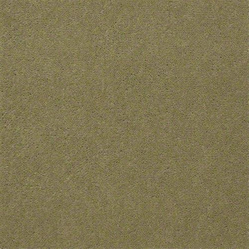 French Olive