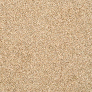 Alluring in Camelite Carpet