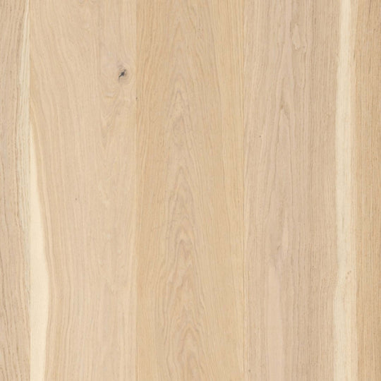 Castillian Premier in Monroe Bisque