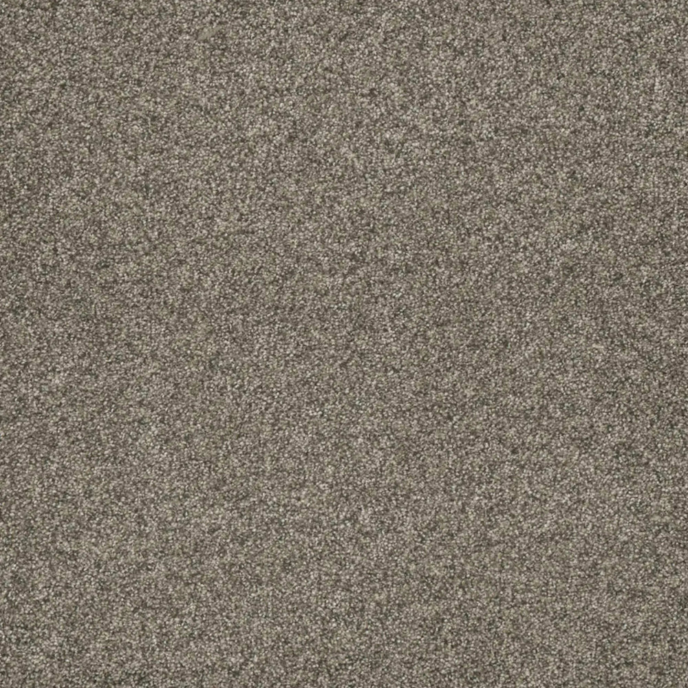Astounding I in Baymont Carpet