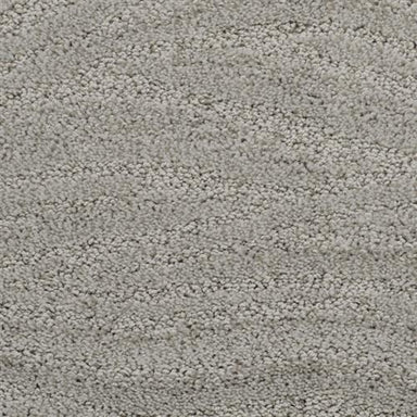 Taittinger in New Hope Carpet