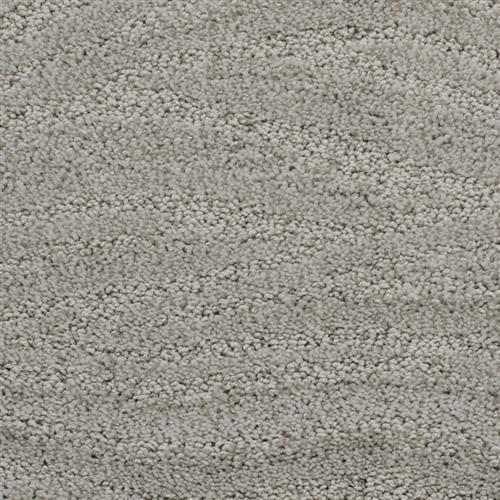 Taittinger in New Hope Carpet