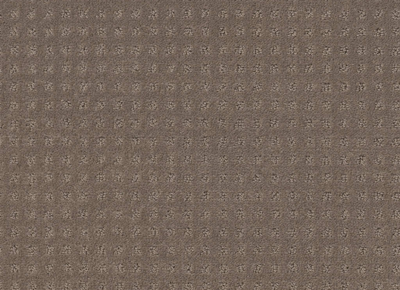 HIDDEN HOLLOW in Smokestack Carpet