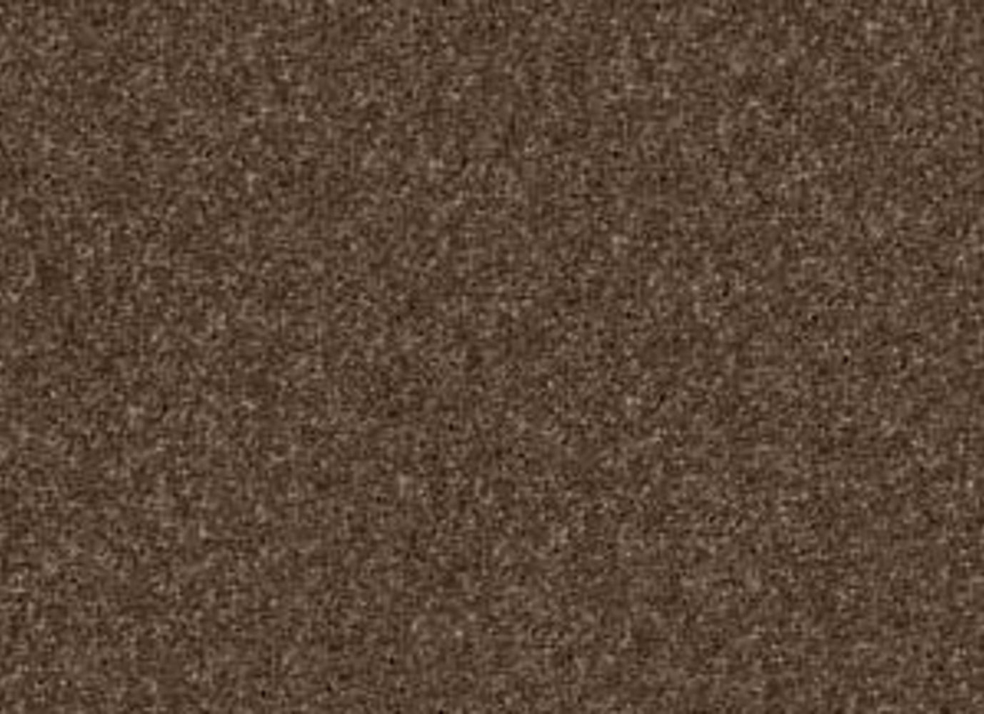 SERINA in Bison Carpet