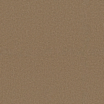 Butterscotch