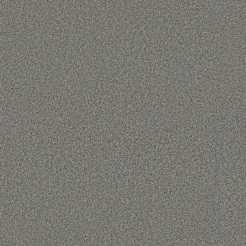 Plymouth Stone