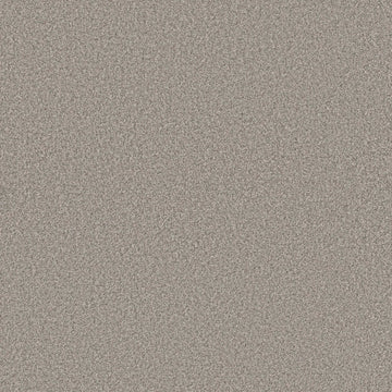 Palomino