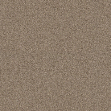 Desert Sand
