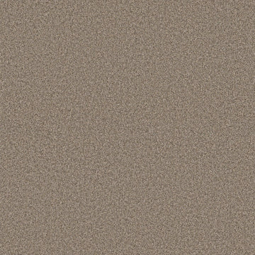 Quail