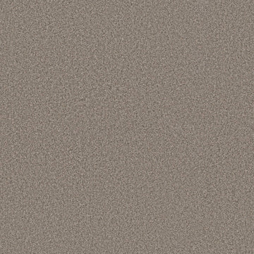 Napa Suede