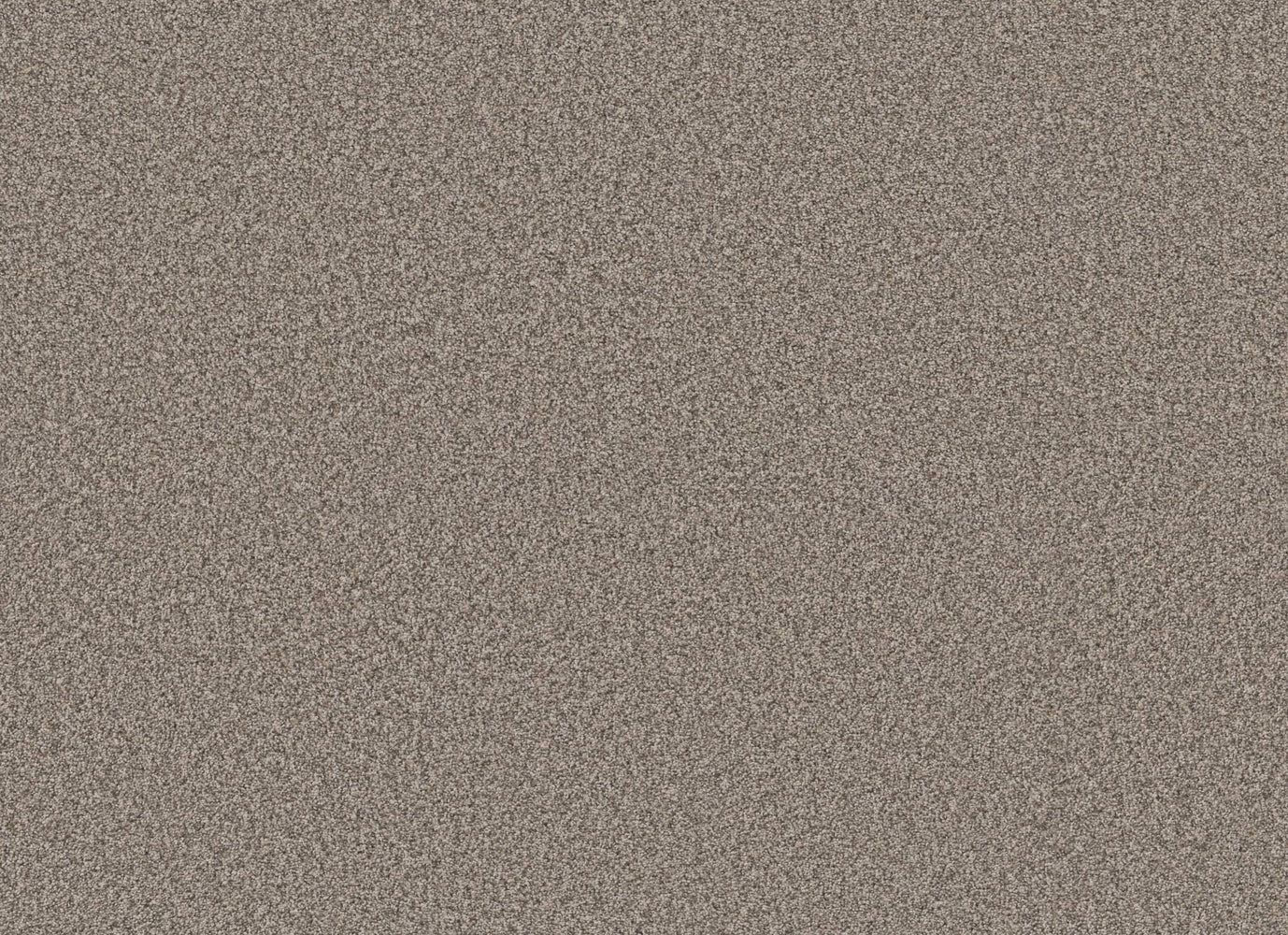 BRIDGEWATER in Napa Suede Carpet