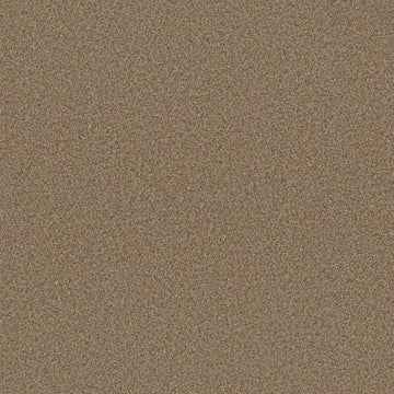 Terra Honey