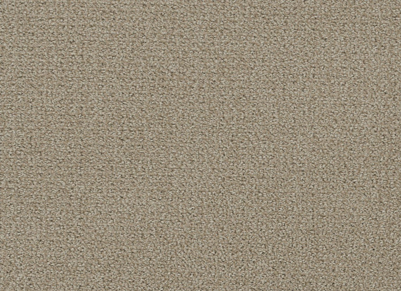 Pinpoint in Fieldcrest Carpet