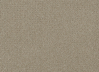 Pinpoint in Fieldcrest Carpet